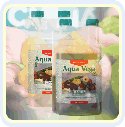 CANNA AQUA VEGA DÜNGER 1 LITER - GARTEN CANNA AQUA VEGA DÜNGER 1 LITER - GARTEN