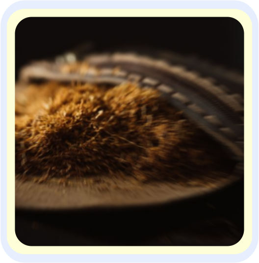 FEINSCHNITT TABAK FEINSCHNITT TABAK