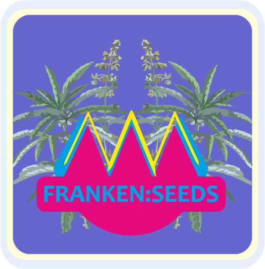 FRANKEN SEEDS HANFSAMEN FRANKEN SEEDS HANFSAMEN