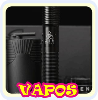 VAPORIZER im RAUCHHAUS